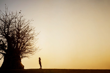 Lonely woman looking a tree at dusk time