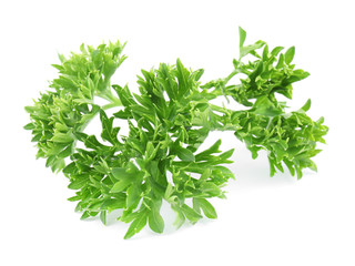Fresh green organic parsley on white background