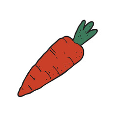 digitally drawn illustration carrot design. hand drawing style