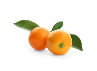 Branch of ripe tangerines isolated on white. Tasty citrus fruit