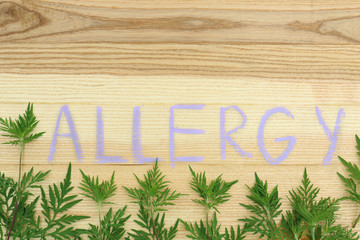 Flat lay composition with ragweed plant (Ambrosia genus) and word 
