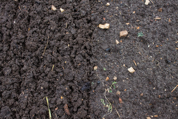 Loose black earth close-up in the garden