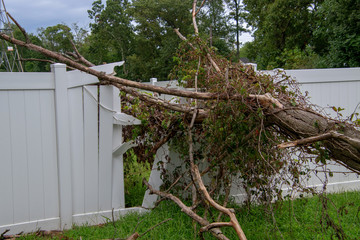 Close up of a large limb that fell off a tree destroying part of a white metal fence leaving a hole