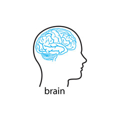 line icons for brain,vector illustration