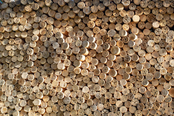 Waste wood industry used as firewood