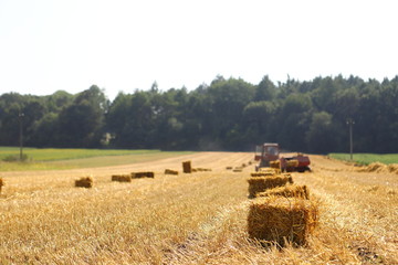 Straw bales on the field, bales of cubic rectangular bales after harvesting wheat, rye, barley...