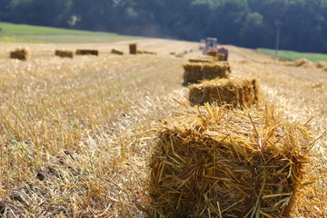 Straw bales on the field, bales of cubic rectangular bales after harvesting wheat, rye, barley against cloudy sky, agricultural agronomy concept