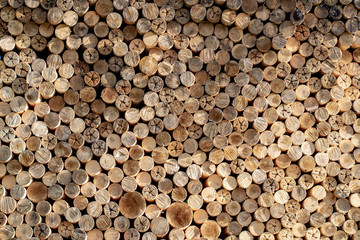 Waste wood industry used as firewood