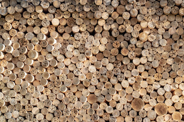 Waste wood industry used as firewood