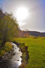 a stream in the field in the spring