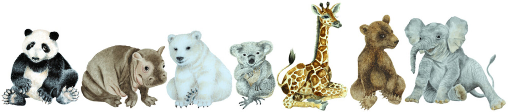 Set of the baby hippo, giraffe, brown bear, koala, polar bear, panda, elephant on a white background, hand drawn watercolor.