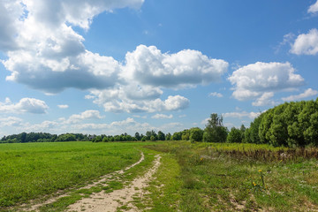 Fototapeta na wymiar Country road and green grass and cloud sky. Russia
