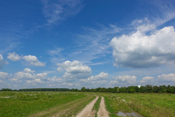 Fototapeta na wymiar Country road and green grass and cloud sky. Russia