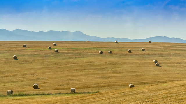 Beveled field with stacks against the background of distant mountains