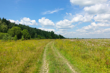 Colorful rural landscape. Country road in a green grass field. The sky with clouds.