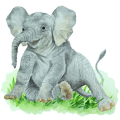 Baby elephant on a green grass, white background, hand drawn watercolor.