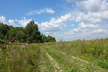 Colorful rural landscape. Country road in a green grass field. The sky with clouds.