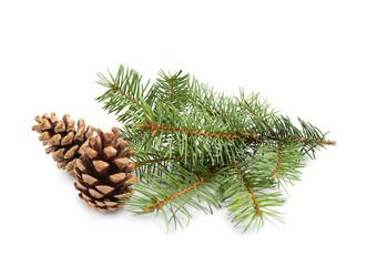 Christmas tree branches with pine cones on white background