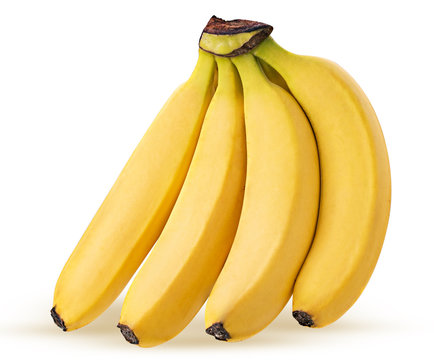 Bunch Of Bananas