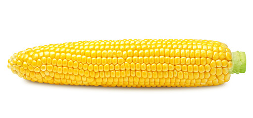 corn ear, isolated on white background, clipping path, full depth of field