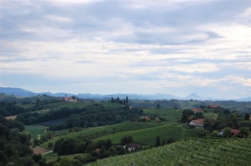 Romantic landscape and vineyards