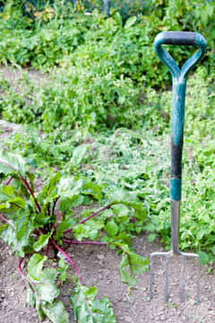 Gartenarbeit