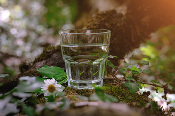 Fototapeta na wymiar A glass of clean water, on the nature. Concept of a healthy lifestyle