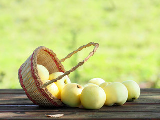 Ripe green and golden apples scattered from a wicker basket on a wooden table. Harvest