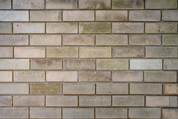 Obraz premium vintage grunge brick pattern wall for background design