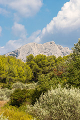 Sainte-Victoire mountain, towards the village of Tholonet