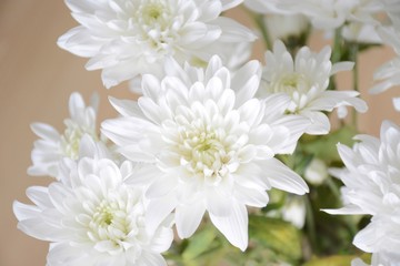 Top view of white delicate flowers bouquet