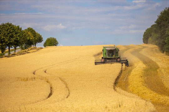 Maehdrescher Ernte Getreide