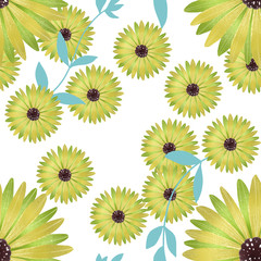 Daisy flower seamless Pattern