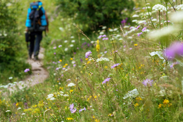 Hiker with backpack walking on the road.