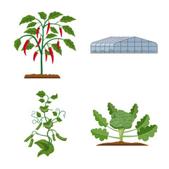 Vector illustration of greenhouse and plant sign. Collection of greenhouse and garden stock vector illustration.