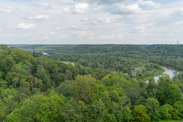 Fototapeta na wymiar Aerial view of beautiful green forest, Latvia