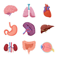 Isolated object of body and human icon. Collection of body and medical stock vector illustration.