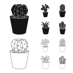 Vector illustration of cactus and pot sign. Collection of cactus and cacti vector icon for stock.