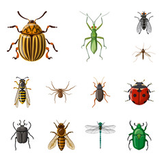 Vector illustration of insect and fly symbol. Collection of insect and element stock vector illustration.