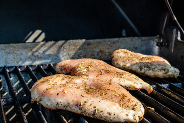 Chicken grilling on the grill. Calgary, Alberta, Canada