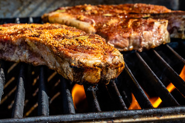T-bone steaks with home made seasoning on the grill. Calgary, Alberta, Canada