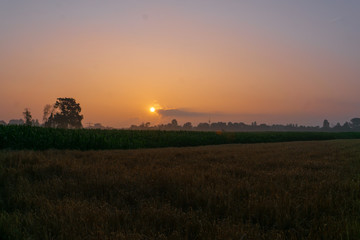 Fototapeta na wymiar Sonnenaufgang mit Wolken über Felder