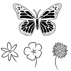black and white butterfly and flower
