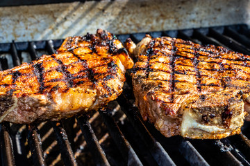 T-bone steaks with home made seasoning on the grill. Calgary, Alberta, Canada