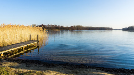 Naklejka premium Landschaft mit Steg und Schilfgras an einem See