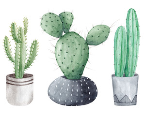 Watercolor hand painted green cactus set. Perfect for your design of greeting cards, invitations and prints.