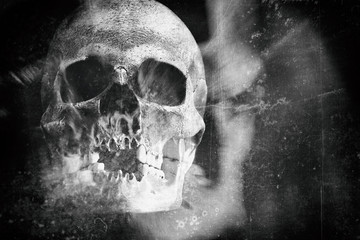 Scary grunge skull wallpaper. Halloween black and white background.
