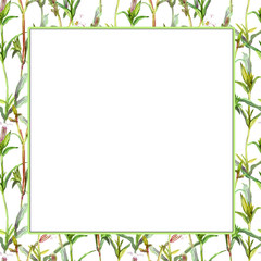 Square frame with field colors
