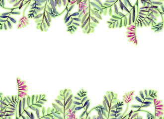 Banner with field herbs. Watercolor painting