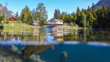 blausee lake, switzerland